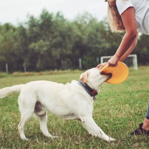 Curso de control y autocontrol