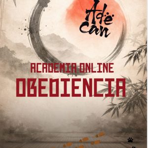 ACADEMIA ONLINE (LEO)